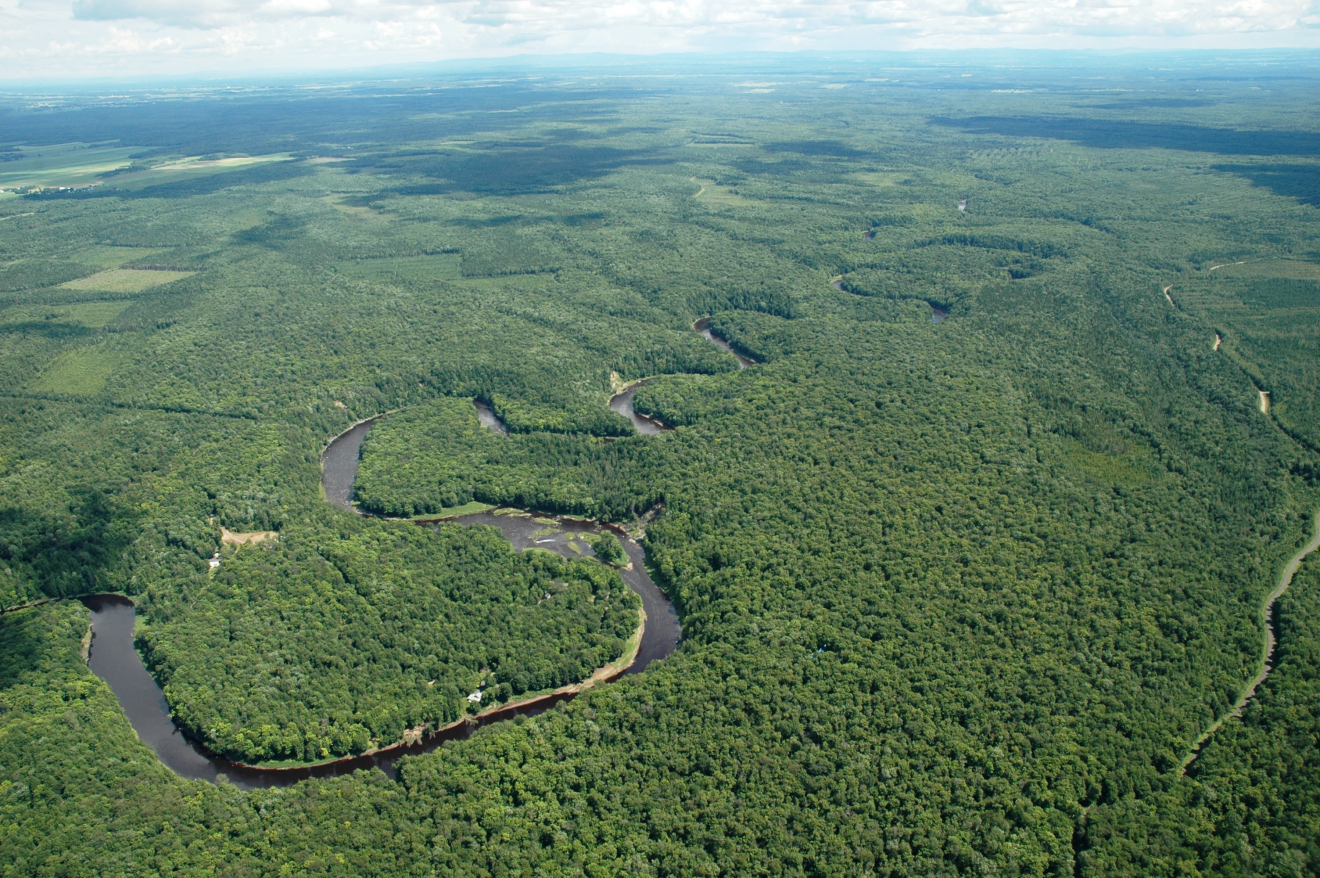 Proposition d'une réserve de biodiversité dans la  Forêt de la Seigneurie de Lotbinière